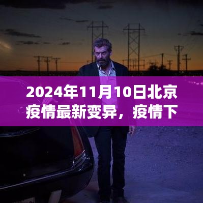 北京疫情最新變異下的溫情與友情日常，2024年11月10日最新觀察