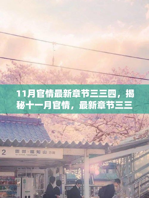揭秘十一月官情最新章節(jié)三三四，深度解讀與要點(diǎn)詳解