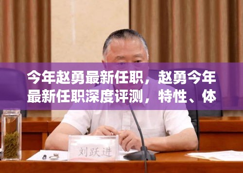 趙勇最新任職深度解析，特性、體驗、競品對比及用戶群體全面剖析