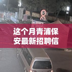 青浦保安最新招聘信息本月概覽，全面解析招聘動態(tài)與要求