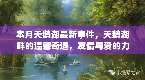 本月天鵝湖畔的溫馨奇遇，友情與愛的力量的展現(xiàn)