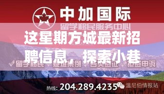 方城最新招聘信息揭秘，小巷秘境與獨特小店之旅