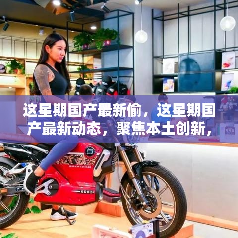 本周國產(chǎn)最新動態(tài)聚焦，本土創(chuàng)新動態(tài)與產(chǎn)業(yè)新動向的洞悉