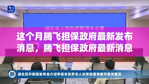 騰飛擔(dān)保政府最新消息解讀與操作指南，初學(xué)者與進階用戶必讀指南