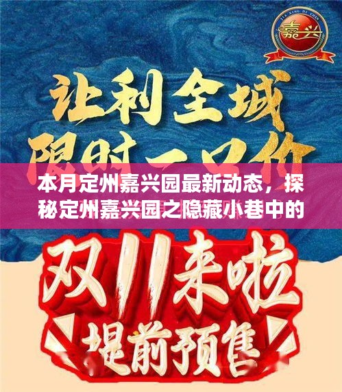 本月定州嘉興園最新動態(tài)，探秘隱藏小巷的獨特風味——新鮮打卡指南