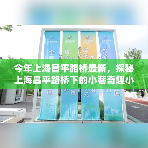 探秘上海昌平路橋下的小巷奇趣小店，最新隱藏版美味與獨特風(fēng)情揭秘