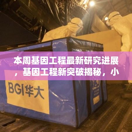 基因工程新突破揭秘，小巷深處的未來科技實驗室本周最新進展報道！