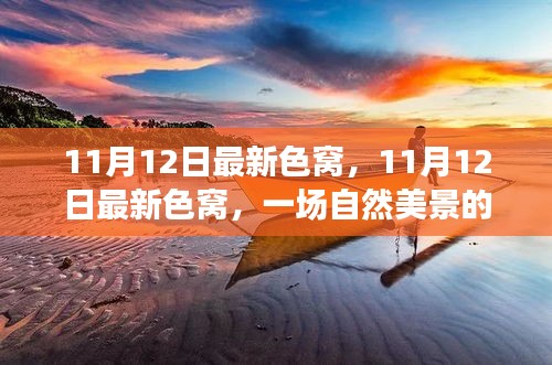 11月12日最新色窩探秘之旅，自然美景中尋找內心平和與寧靜
