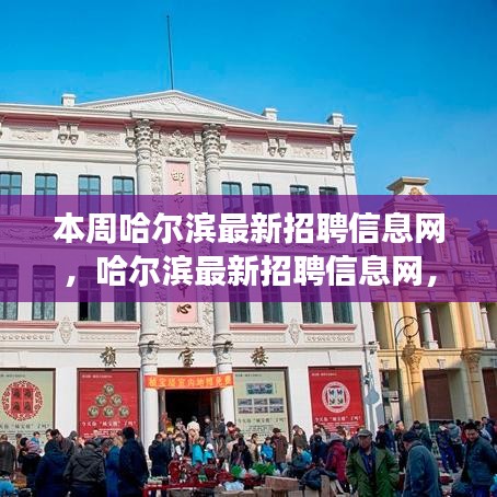 時代脈搏下的招聘風向標，本周哈爾濱最新招聘信息網(wǎng)匯總