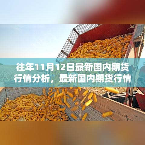 最新國內(nèi)期貨行情分析指南，針對初學(xué)者與進(jìn)階用戶的期貨行情步驟解析（往年11月12日版）
