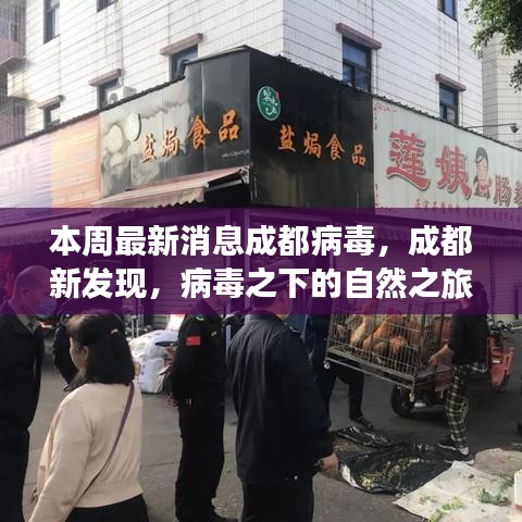 成都病毒新發(fā)現(xiàn)，自然之旅中的心靈港灣探尋