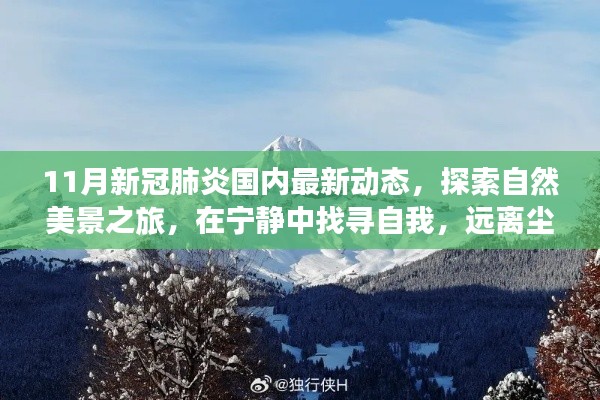 11月新冠肺炎國(guó)內(nèi)最新動(dòng)態(tài)，探索自然美景，寧?kù)o中找尋自我，迎接抗疫新篇章的旅行體驗(yàn)