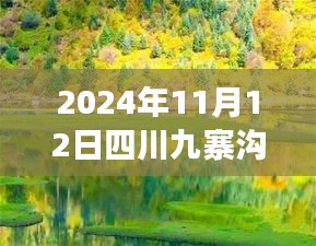 2024年11月12日四川九寨溝最新情況，自然恢復(fù)與旅游新篇章開啟