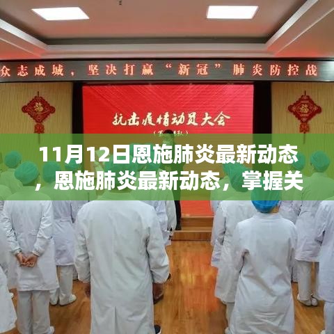 11月12日恩施肺炎最新動態(tài)更新，掌握關(guān)鍵信息的步驟指南