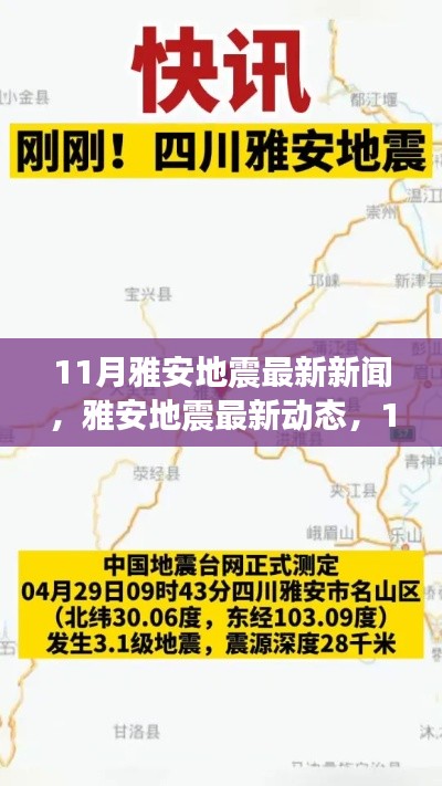 雅安地震最新動態(tài)，救援進展報告及地震活動更新（11月版）