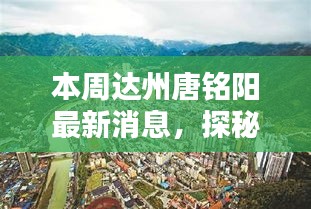 達(dá)州唐銘陽(yáng)最新獨(dú)家揭秘，巷弄深處的特色小店本周更新消息