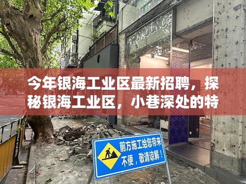 銀海工業(yè)區(qū)最新招聘揭秘，探秘小巷特色小店等你來發(fā)掘！