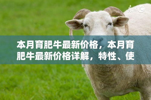 本月育肥牛價格詳解，特性、體驗、競品對比及用戶群體分析