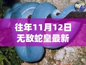 無敵蛇皇，十一月秘密與友情的溫暖日常（最新更新）