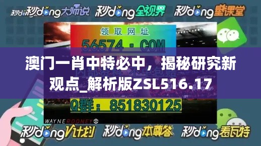 澳門(mén)一肖中特必中，揭秘研究新觀點(diǎn)_解析版ZSL516.17