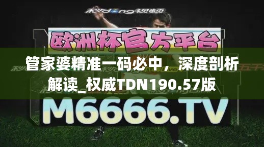 管家婆精準(zhǔn)一碼必中，深度剖析解讀_權(quán)威TDN190.57版