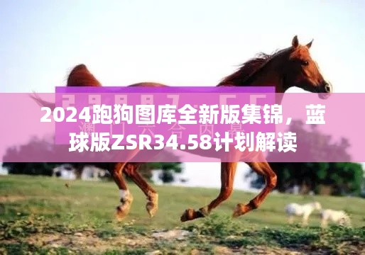 2024跑狗圖庫全新版集錦，藍(lán)球版ZSR34.58計(jì)劃解讀
