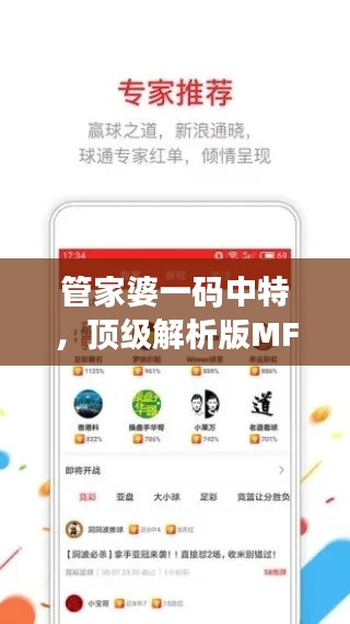 管家婆一碼中特，頂級解析版MFX684.42公開解析