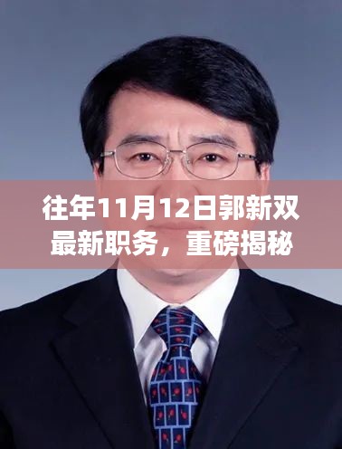揭秘郭新雙新職務(wù)，職場之路再創(chuàng)高峰歷程揭秘！