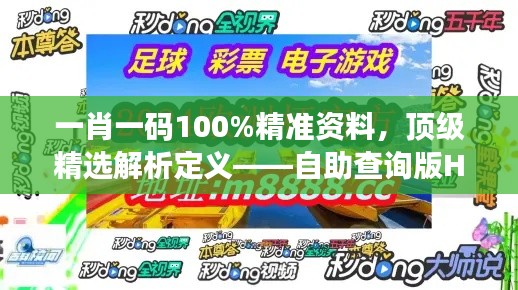 一肖一碼100%精準(zhǔn)資料，頂級精選解析定義——自助查詢版HOU688.73