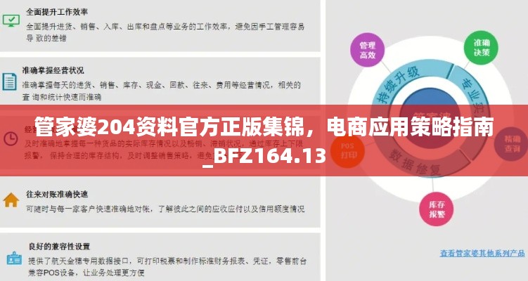 管家婆204資料官方正版集錦，電商應(yīng)用策略指南_BFZ164.13