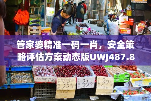 管家婆精準(zhǔn)一碼一肖，安全策略評估方案動態(tài)版UWJ487.85