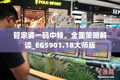 管家婆一碼中特，全面策略解讀_EGS901.18大師版