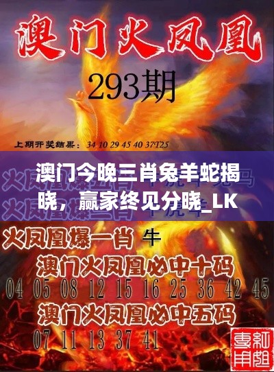 澳門今晚三肖兔羊蛇揭曉，贏家終見分曉_LKY656.61國際版