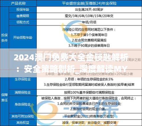 2024澳門(mén)免費(fèi)大全金鎖匙解析：安全策略剖析_深度解讀MYL304.91