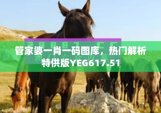 管家婆一肖一碼圖庫(kù)，熱門(mén)解析特供版YEG617.51