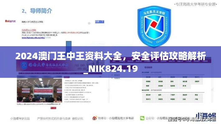 2024澳門王中王資料大全，安全評估攻略解析_NIK824.19