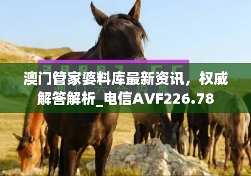 澳門管家婆料庫(kù)最新資訊，權(quán)威解答解析_電信AVF226.78