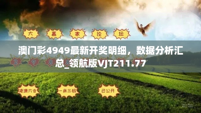澳門彩4949最新開獎明細(xì)，數(shù)據(jù)分析匯總_領(lǐng)航版VJT211.77