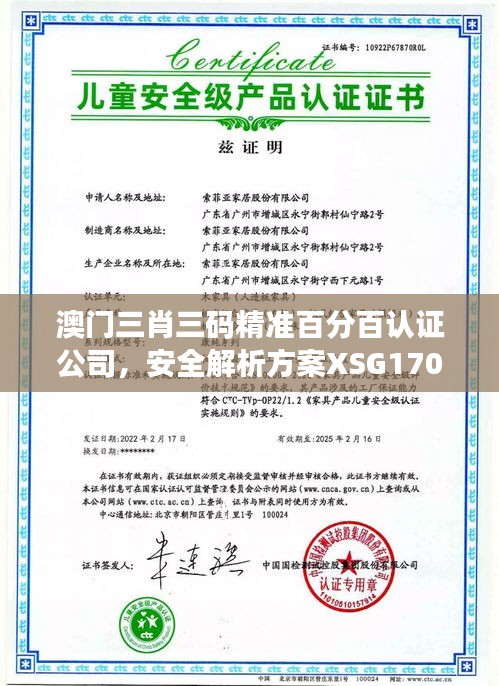 澳門三肖三碼精準百分百認證公司，安全解析方案XSG170.42連續(xù)版