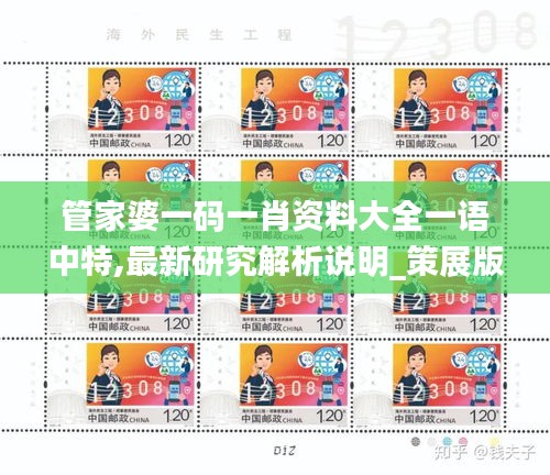 管家婆一碼一肖資料大全一語中特,最新研究解析說明_策展版553.85