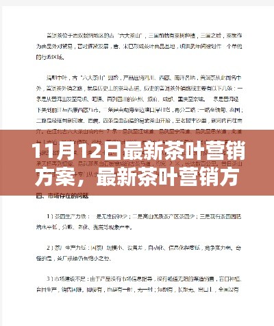 11月12日版茶葉營銷方案實(shí)戰(zhàn)指南，從入門到精通