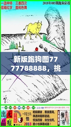 新版跑狗圖7777788888，挑戰(zhàn)TDM565.02資料解析