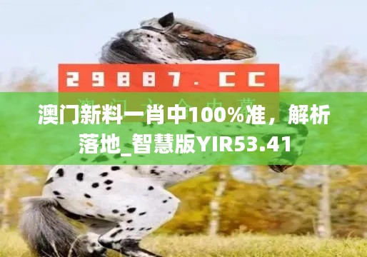 澳門新料一肖中100%準(zhǔn)，解析落地_智慧版YIR53.41