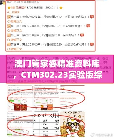 澳門管家婆精準資料庫，CTM302.23實驗版綜合策略解讀