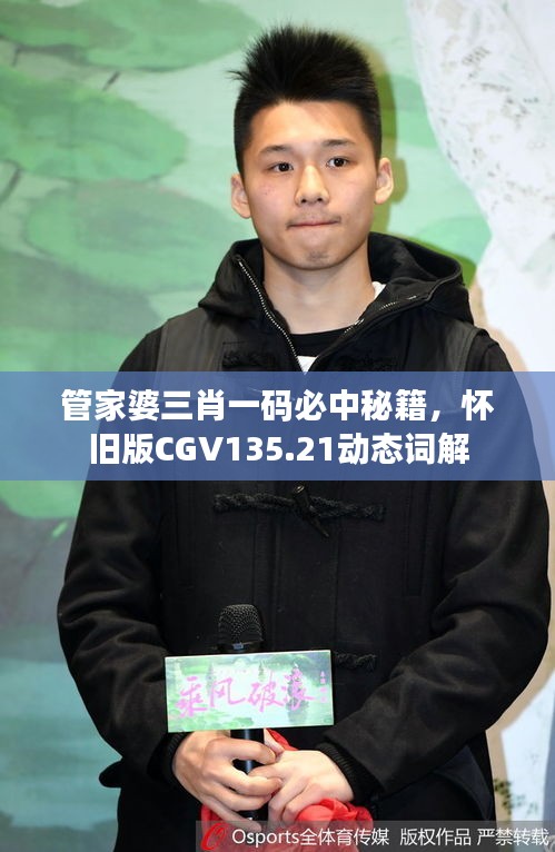 管家婆三肖一碼必中秘籍，懷舊版CGV135.21動態(tài)詞解