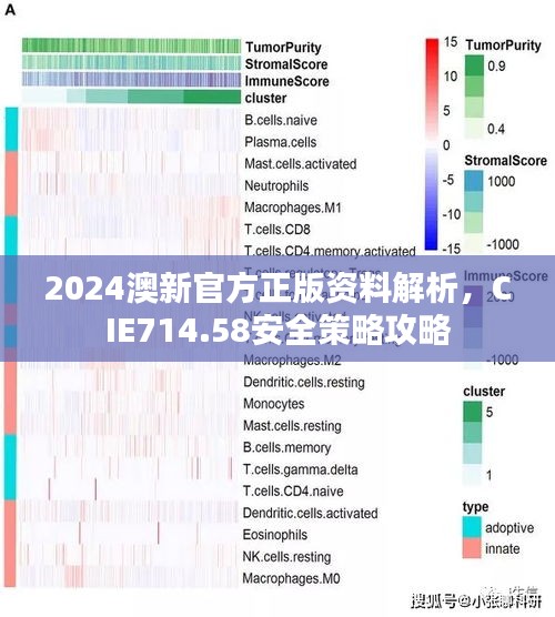 2024澳新官方正版資料解析，CIE714.58安全策略攻略