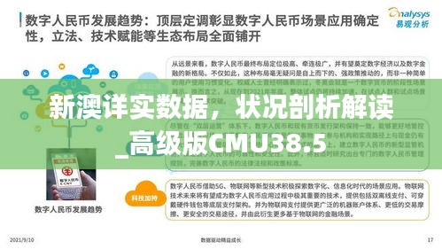 新澳詳實數(shù)據(jù)，狀況剖析解讀_高級版CMU38.5