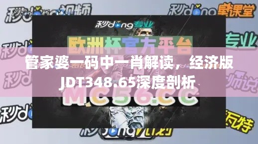 管家婆一碼中一肖解讀，經(jīng)濟(jì)版JDT348.65深度剖析