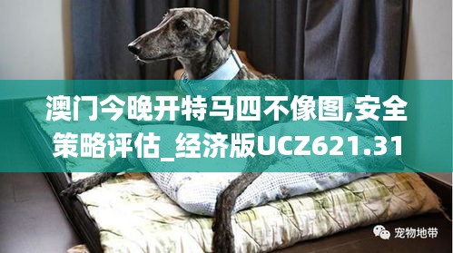 yarenyunshi 第7頁(yè)