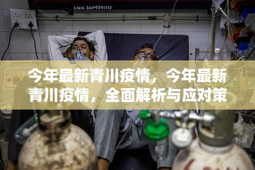 今年最新青川疫情全面解析與應(yīng)對(duì)策略，全面關(guān)注，科學(xué)防控